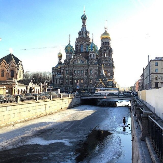 В Санкт-Петербурге в канале Грибоедова появился пингвин