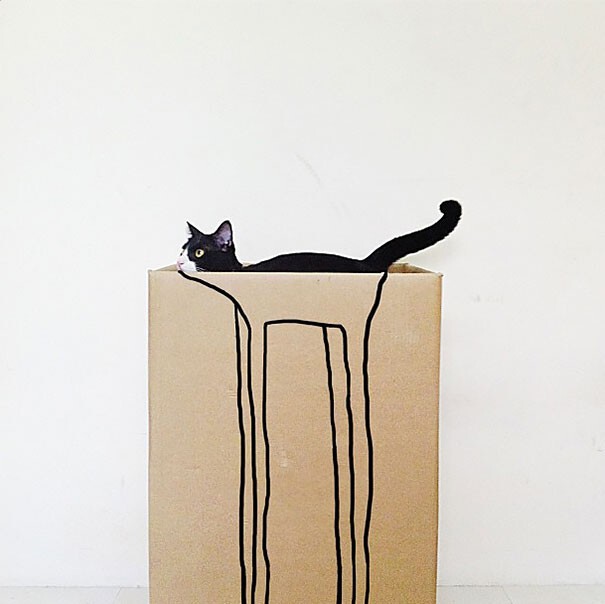 Коты – мастера камуфляжа или "Найди кота"