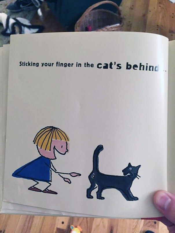 7. Засунуть палец в задницу кошки
