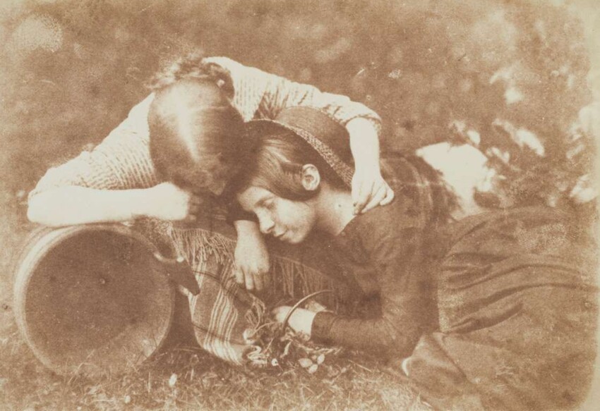 22. Маргаритки (Маргарет и Мэри Кавендиш), примерно 1845 год. 