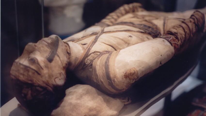 Следы табака и кокаина на телах египетских мумий.