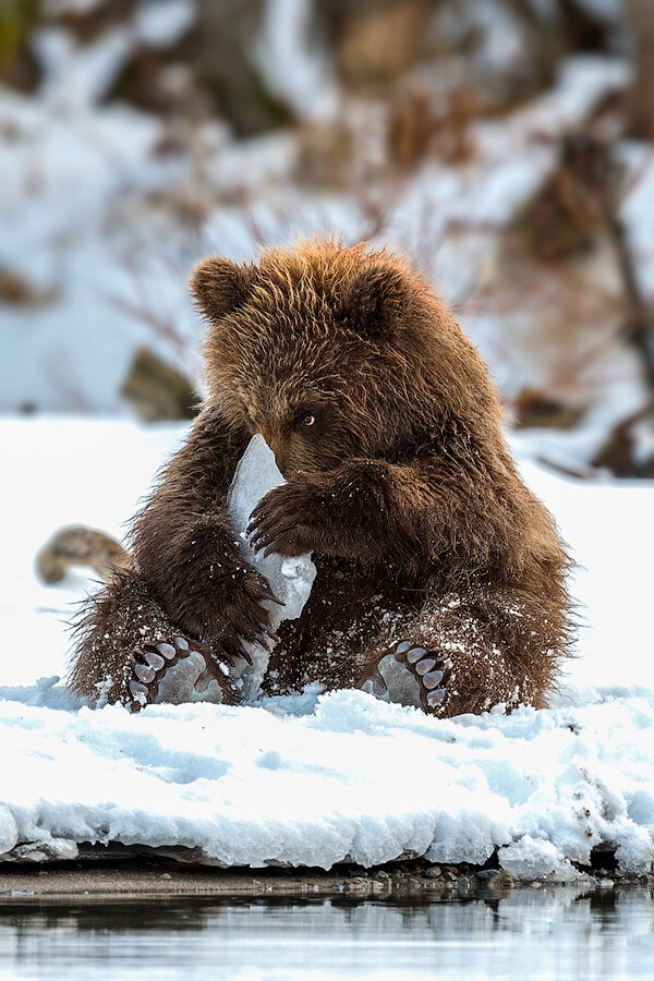 Ледяная игрушка