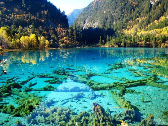 Бирюзовое озеро, Национальный парк Цзючжайгоу, Китай