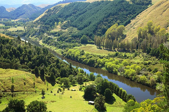 Река Уангани, Северный остров, Новая Зеландия