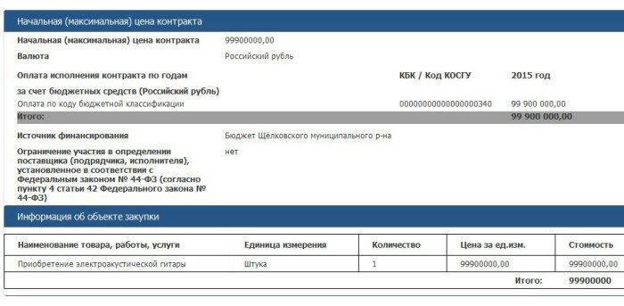 На сайте госзакупок появилось объявление о покупке гитары за 100 млн рублей