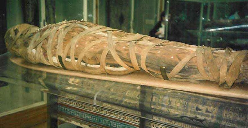  Порошок мумии был аспирином арабского мира.