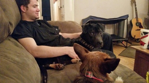 Собаке дали кличку Чарли Браво и теперь она живет у одного из своих спасителей