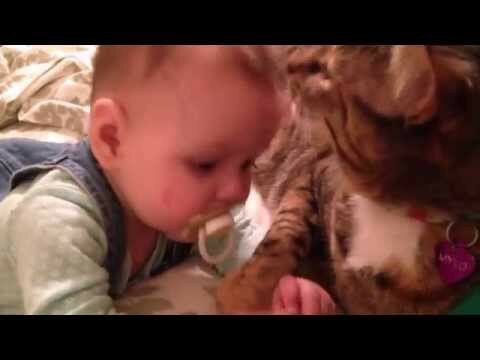 Кошка и ребенок 