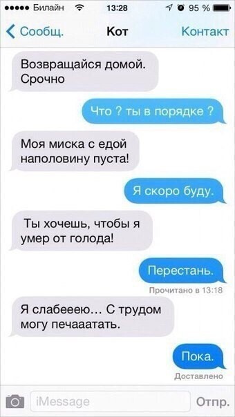 Если бы у котов был телефон