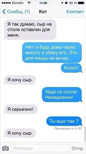 Если бы у котов был телефон