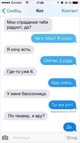 Если бы у котов был телефон