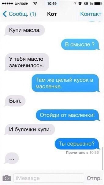 Если бы у котов был телефон