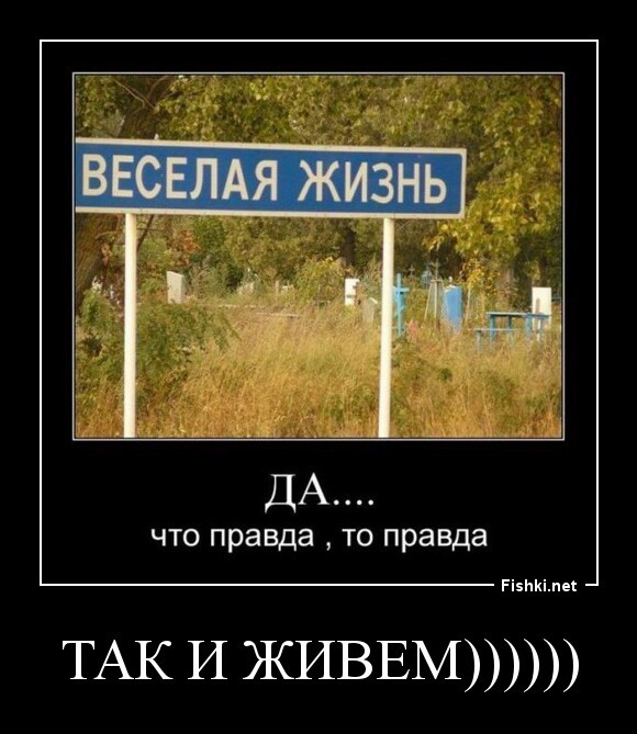 так и живем))))))
