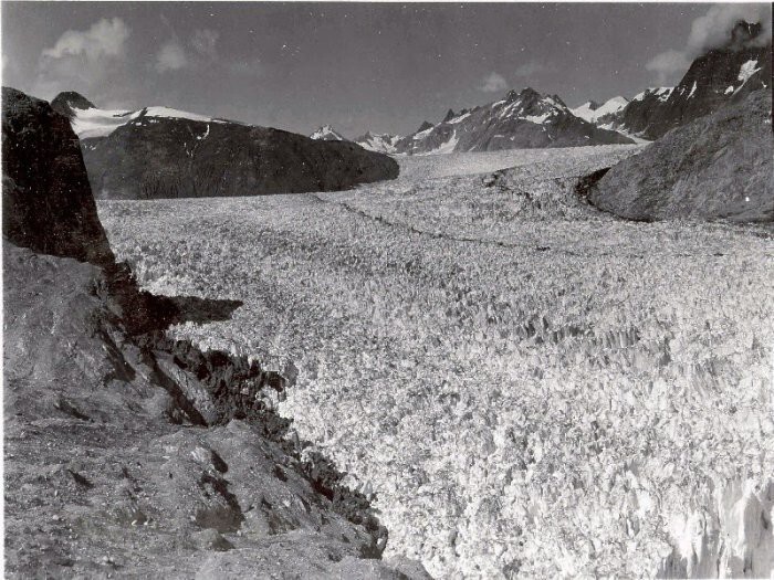 Ледник Риггс, Аляска. Толщина льда на фото 1941 года – 0,7 километра. 2004 год – ледник полностью отступил на несколько километров.  