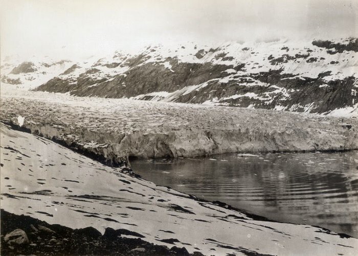 Ледник Рейд, Аляска. 1899 – 2003 годы