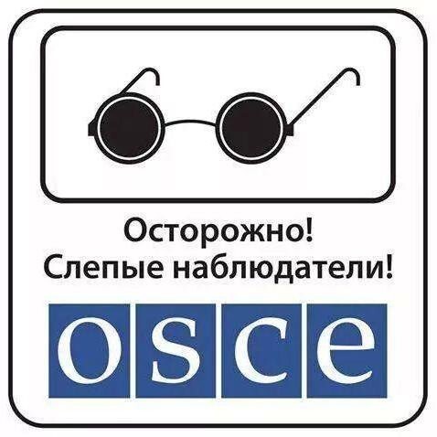 Теперь сотрудникам OSCE можно фофаны отжигать.