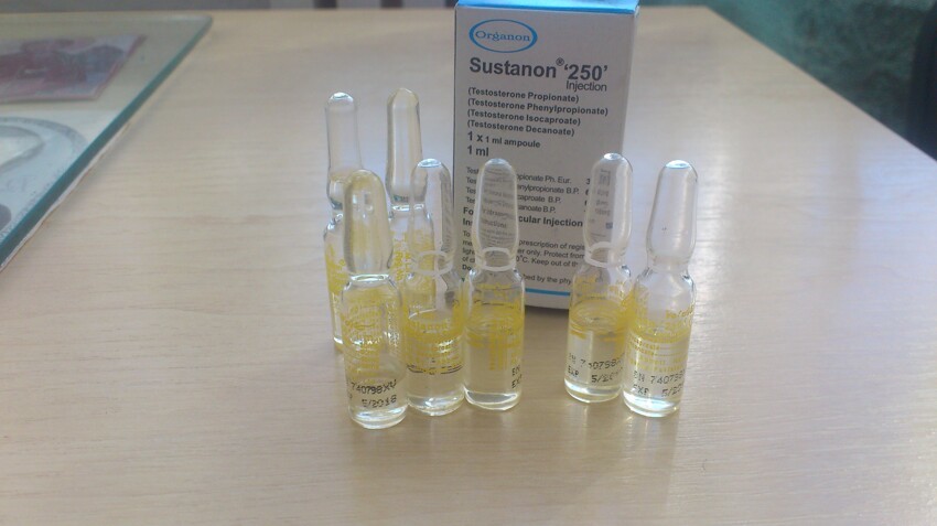 Первый курс стероидов, сустанон соло!