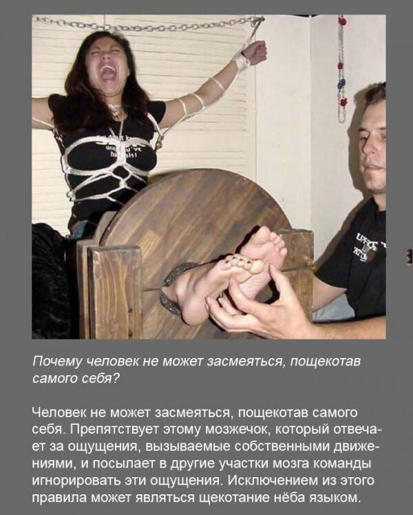 Интересные факты