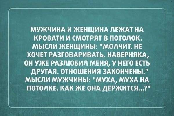 Оригинальные высказывания людей в интернете и не только