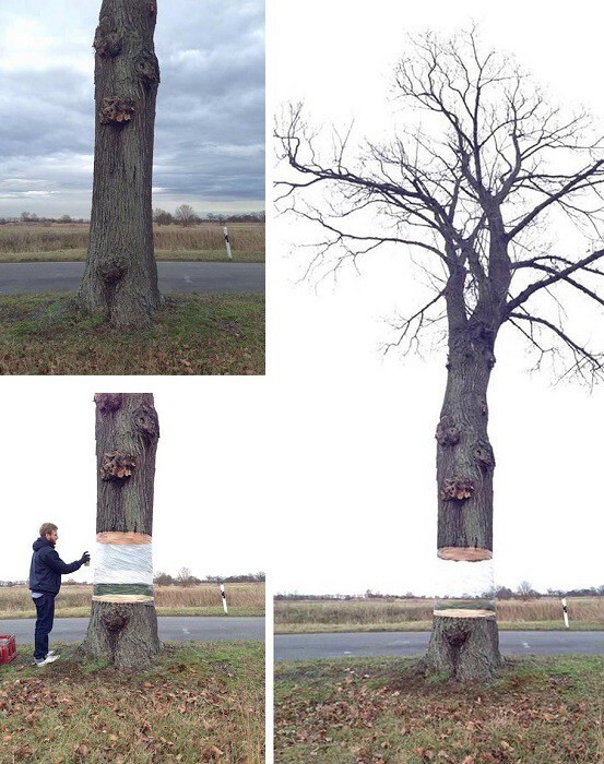 4. Парящее дерево от Марио Шу (Mario Shu) и Даниэля Сайэринга (Daniel Siering), Германия