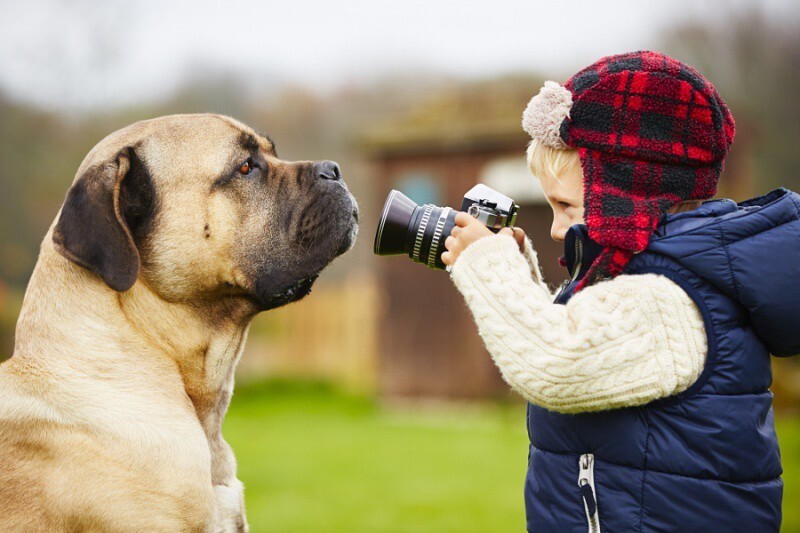 Дети - фотографы