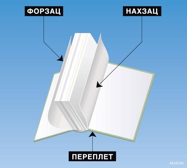 Неизвестные аналоги знаменитых вещей и понятий