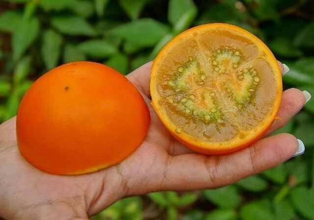 Самые экзотические фрукты мира!
