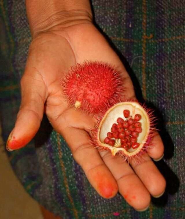 Самые экзотические фрукты мира!
