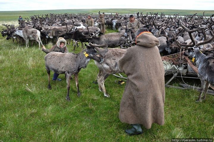 Ханты, как они есть. Полуостров Ямал