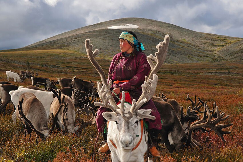 Жизнь оленеводов в Монголии 