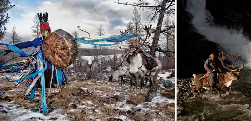 Жизнь оленеводов в Монголии 