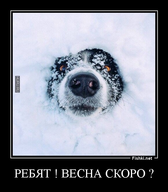 Ребят ! Весна скоро ?