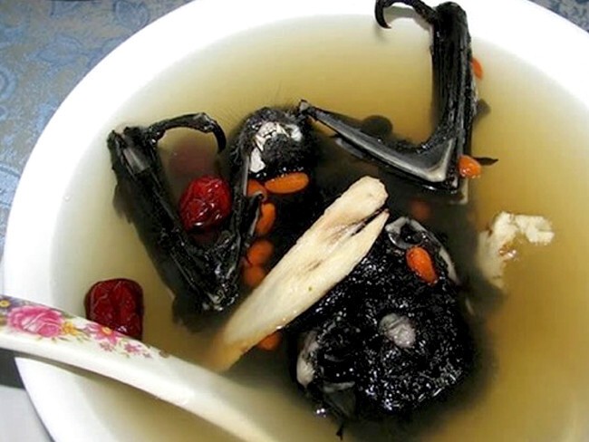 6. Фруктовый суп из летучей мыши (остров Палау, Микронезия)