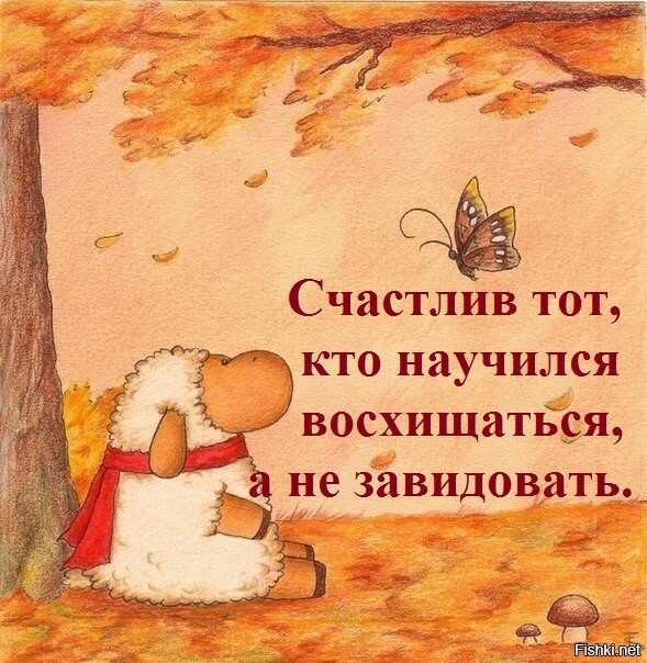 Из солянки