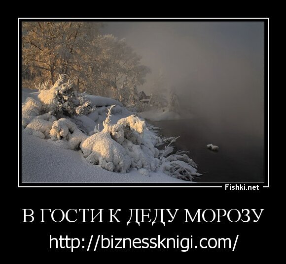 В ГОСТИ К ДЕДУ МОРОЗУ