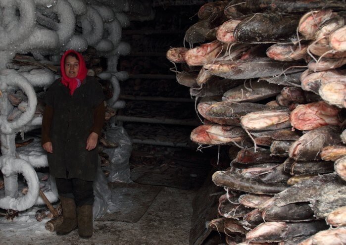 Астраханский рыбный промысел