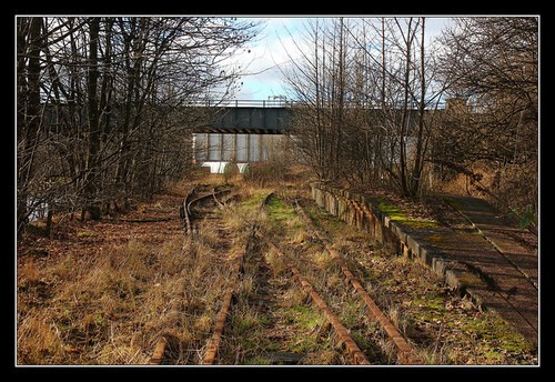 Фотографии железной дороги