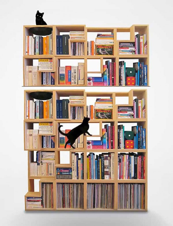 1. Библиотека для тех, у кого дома кошка