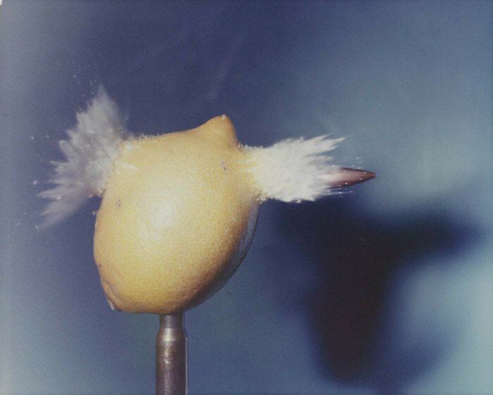 Пуля, прострелившая лимон, 1955 год.