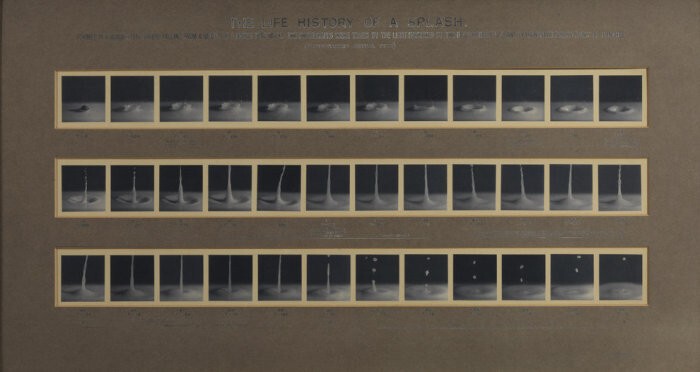 Серия фото, на которых видно падение капли, 1905 год.