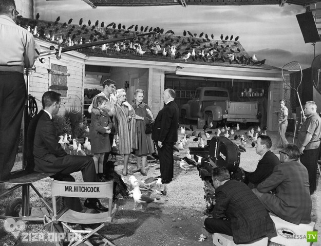 Альфред Хичкок дает указания актерам известнейшего фильма-хоррора "Птицы"