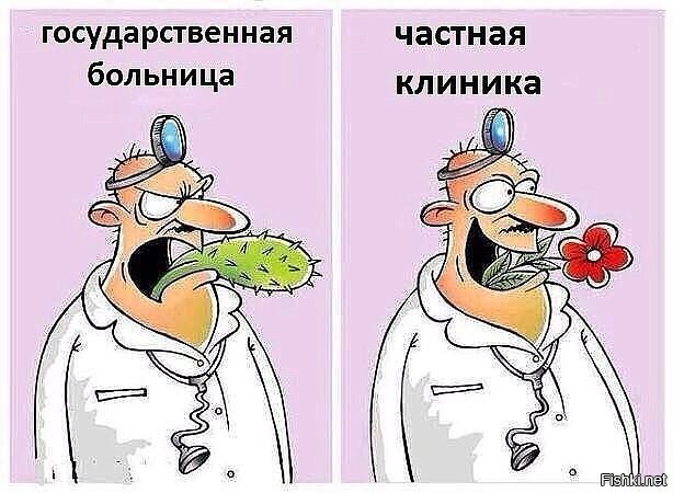 Из солянки