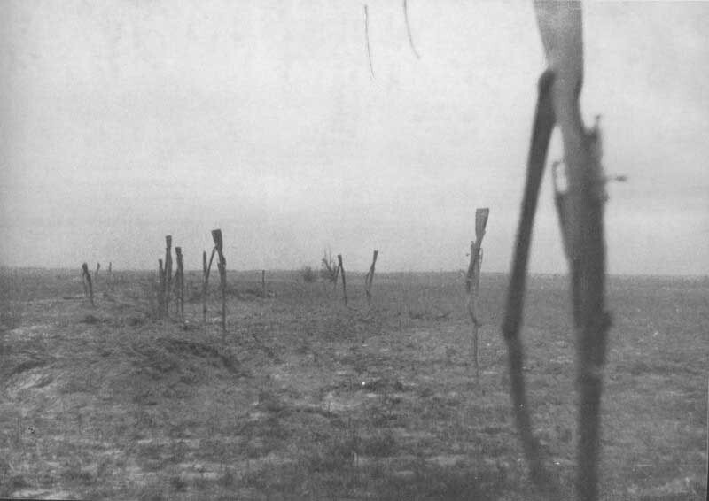 Винтовки сдавшихся в плен советских солдат. 1941 год