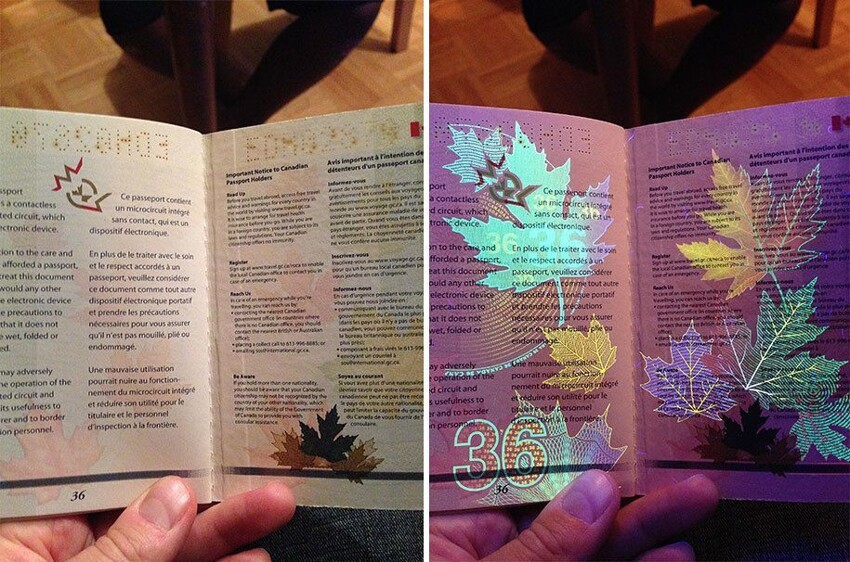 Паспорт, напоминающий детскую раскраску
