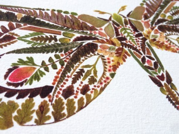 Прессованные иллюстрации из листьев папоротника