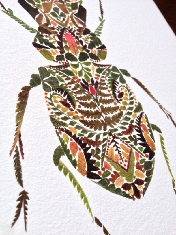 Прессованные иллюстрации из листьев папоротника