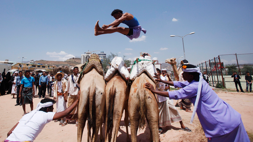 Прыжки через верблюдов (Йемен)