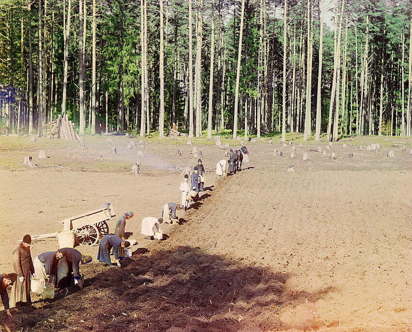 Редчайшие цветные фотографии Прокудина-Горского