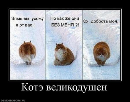 Демотиваторы