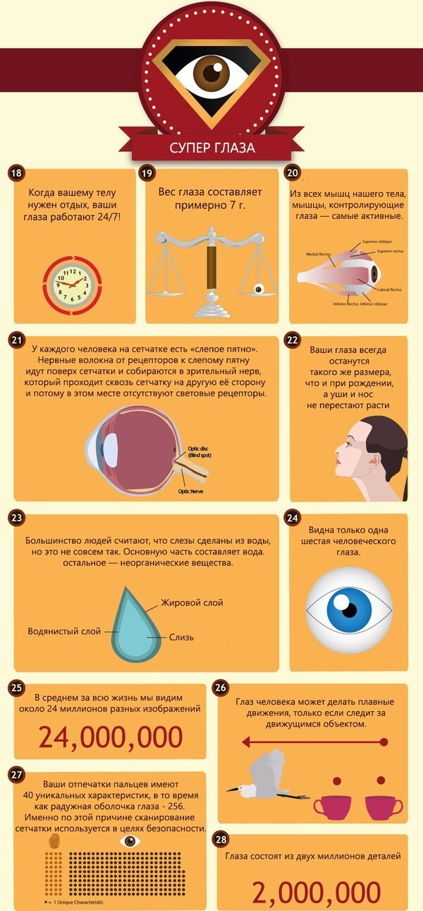 50 интересных фактов о глазах 